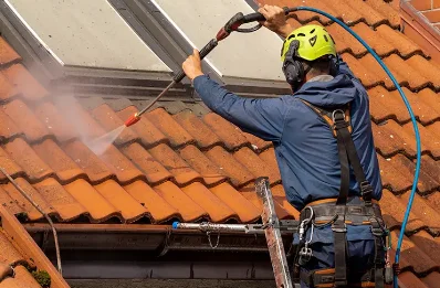 Démoussage et hydrofuge de toiture à Sellières